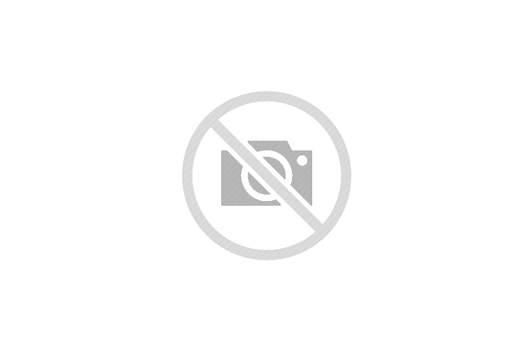 2016 FOREST RIVER SURVEYOR 264RKS